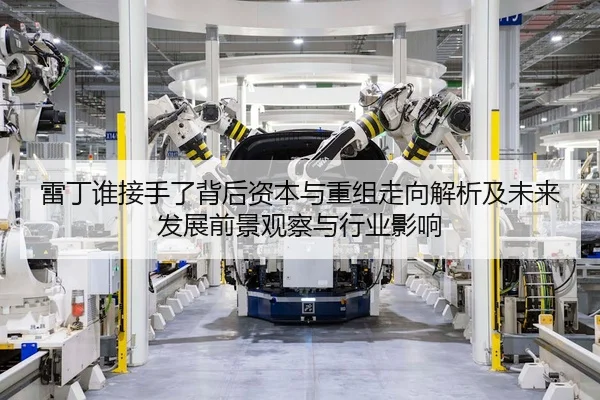 雷丁谁接手了背后资本与重组走向解析及未来发展前景观察与行业影响