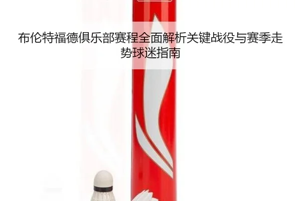 布伦特福德俱乐部赛程全面解析关键战役与赛季走势球迷指南